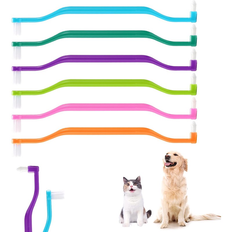 Brosse à dents de chien à 2 côtés