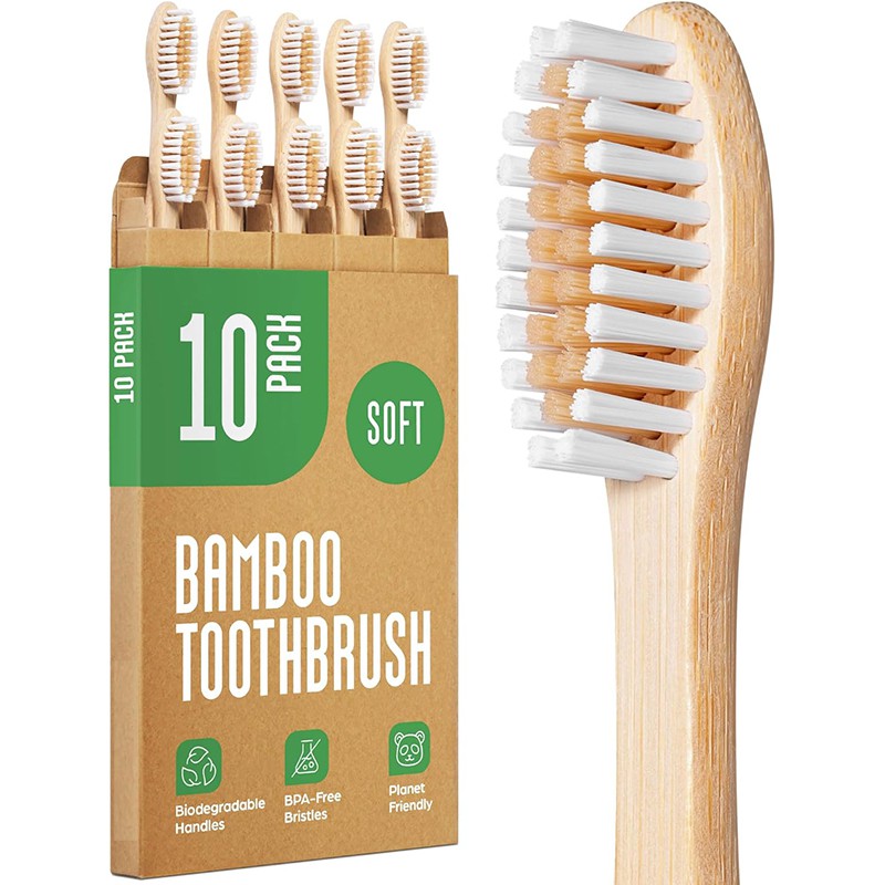 Meilleure brosse à dents durable